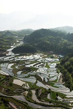 茗岙梯田