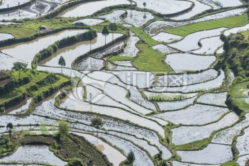 梯田