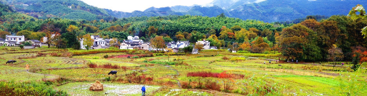 塔川秋色风光 长宽幅全景