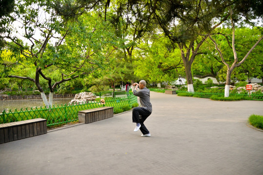 太极拳 运动 晨练 公园 清晨