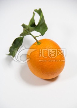 脐橙 橙子
