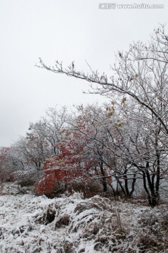 大雪