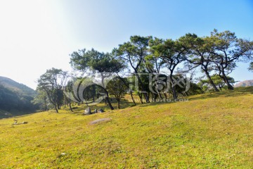 大山风景