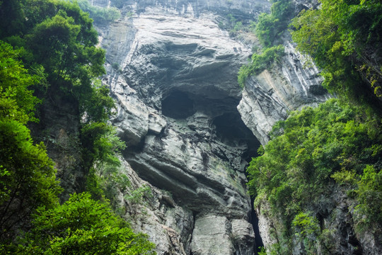 武隆天坑黑猩猩景点