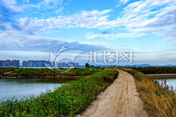 池塘上小路向远方延伸