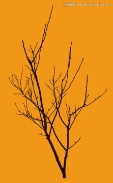 樹(shù)木剪影