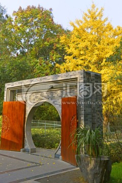 中式园林 银杏秋景