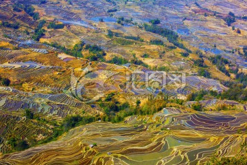 云南元阳梯田美丽壮观的风景