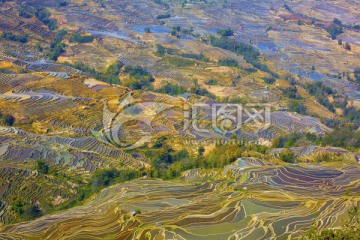 云南元阳梯田美丽壮观的风景