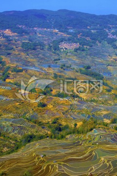 云南元阳梯田美丽壮观的风景