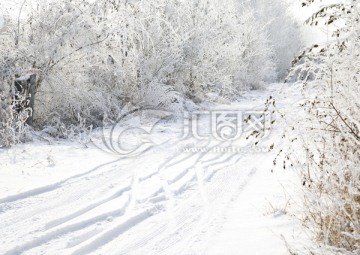 雪景 雪地 地面积雪的路