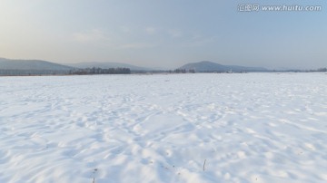 雪野