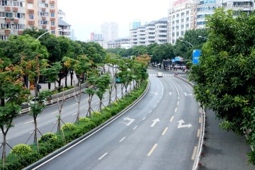 六一北路