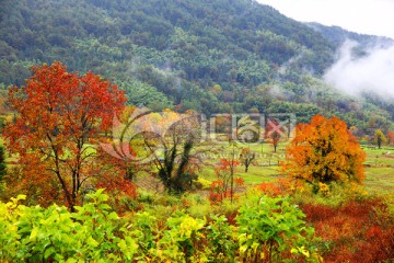 塔川红叶风景