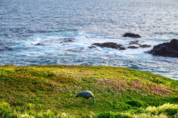 航拍海边悬崖海岛礁石海浪