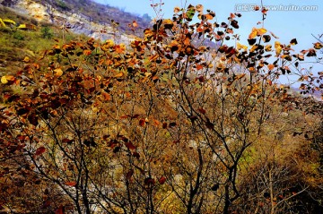 巩义长寿山 高清无噪