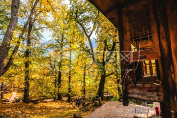 贵州妥乐村景区