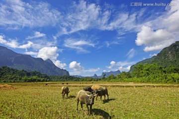 远方的家园 桂林风光