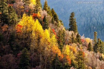 黑水达古冰山风光