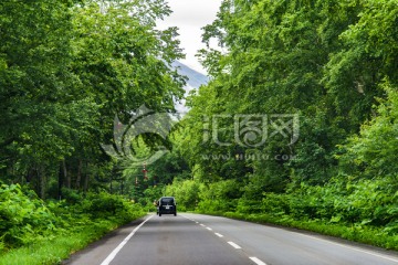 北海道盛夏的公路