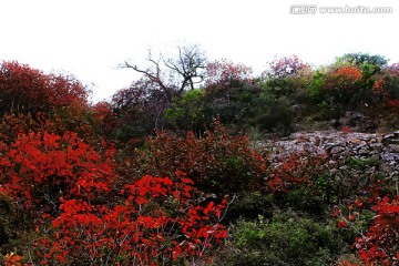 巩义长寿山 高清无噪