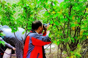 巩义长寿山 高清无噪