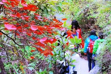 巩义长寿山红叶 高清无噪