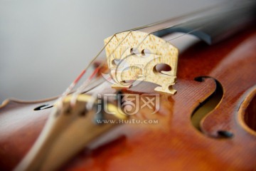 小提琴特写
