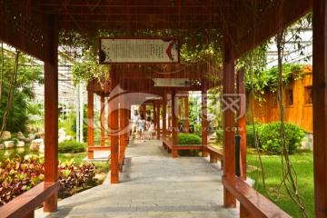 廊楟 植物园 游乐园