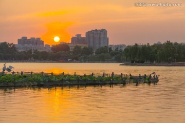 大明湖日落