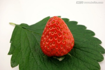 草莓 一个 绿叶 白底素材图