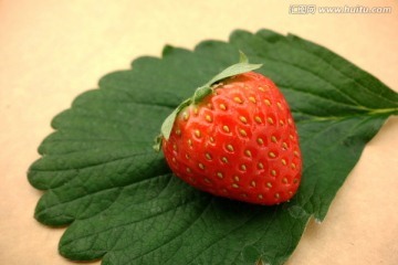 草莓 一个 绿叶 棕底素材图