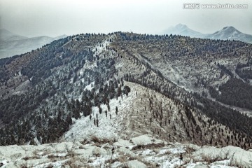 林海雪原jpg