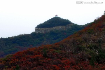 巩义长寿山红叶 高清无噪