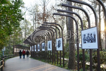 非洲摄影展走廊