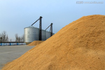 粮库 粮食 烘干塔