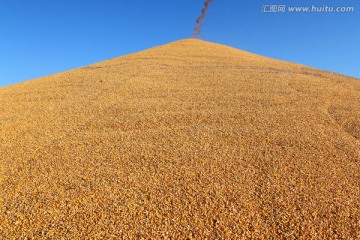 粮库 粮食