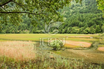 九寨沟风景 九寨沟海子