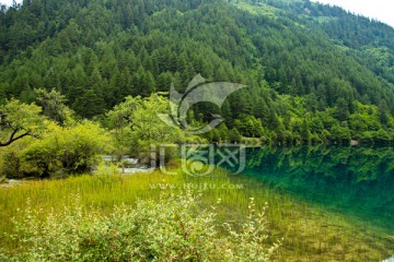 九寨沟海子 九寨沟风景