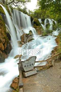 九寨沟山水 树正瀑布