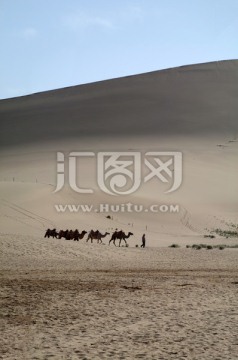 鸣沙山骆驼