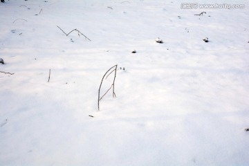 雪景