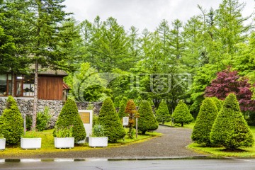 日式园林绿化树木