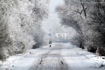 雾凇 冬天 雪景