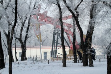 雾凇 冬天 雪景 玉树琼枝