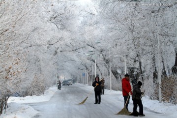 冬天 扫雪