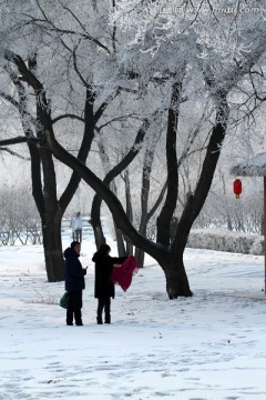 雾凇 冬天 雪景