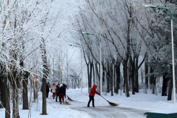 雾凇 冬天 扫雪 雪景