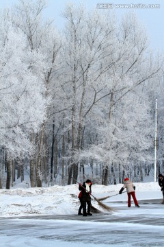 雾凇 冬天 雪景 玉树琼枝 冰