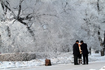 雾凇 冬天 雪景